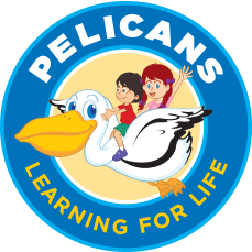 Pelicans in the City