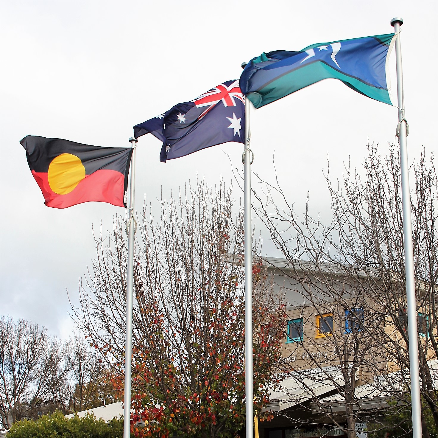  Scenario - Aboriginal and Torres Strait Islander Flags 
